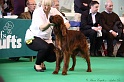 Crufts2011 216